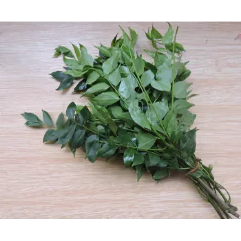 Dry Curry Leaves
